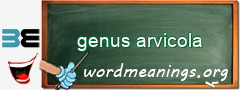 WordMeaning blackboard for genus arvicola
